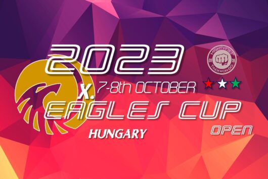 Наші учні — переможці міжнародного турніру «Mightyfist Eagles Cup»!